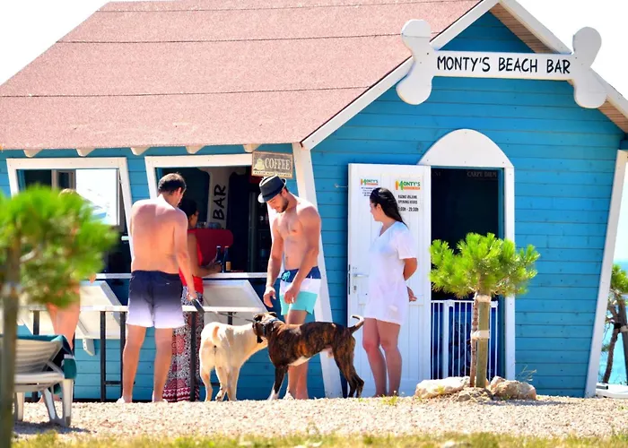 Schoene Erdgeschosswohnung Mit Sonnenterrasse By Interhome * Dramalj