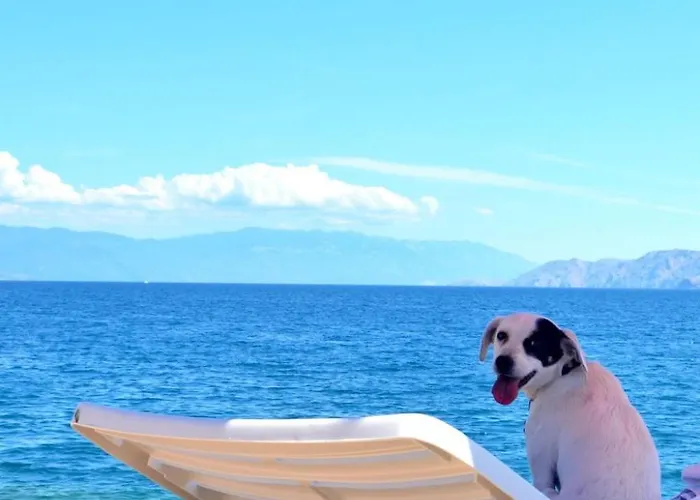 Schoene Erdgeschosswohnung Mit Sonnenterrasse By Interhome Dramalj