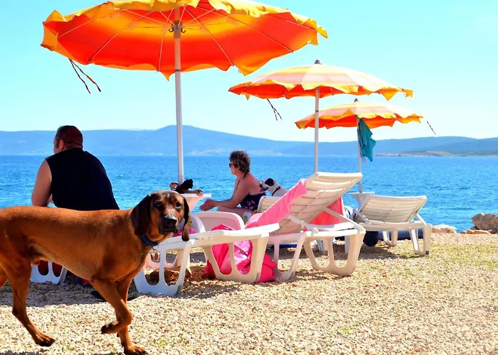 Schoene Erdgeschosswohnung Mit Sonnenterrasse By Interhome Appartamento